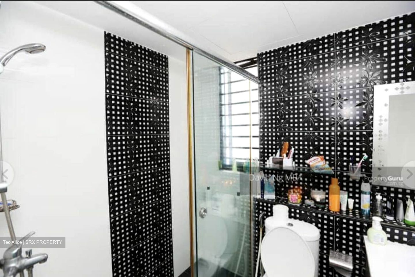The Tanamera (D16), Condominium #366411651